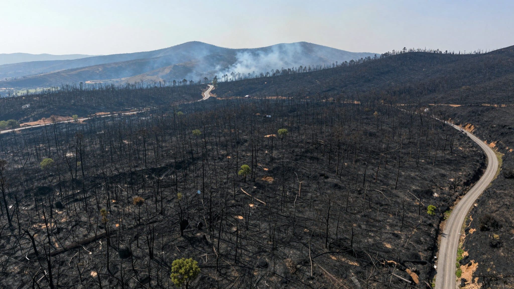 Incendio mortale in Andalusia: dodici morti e una superficie equivalente a 9 400 campi da calcio distrutta