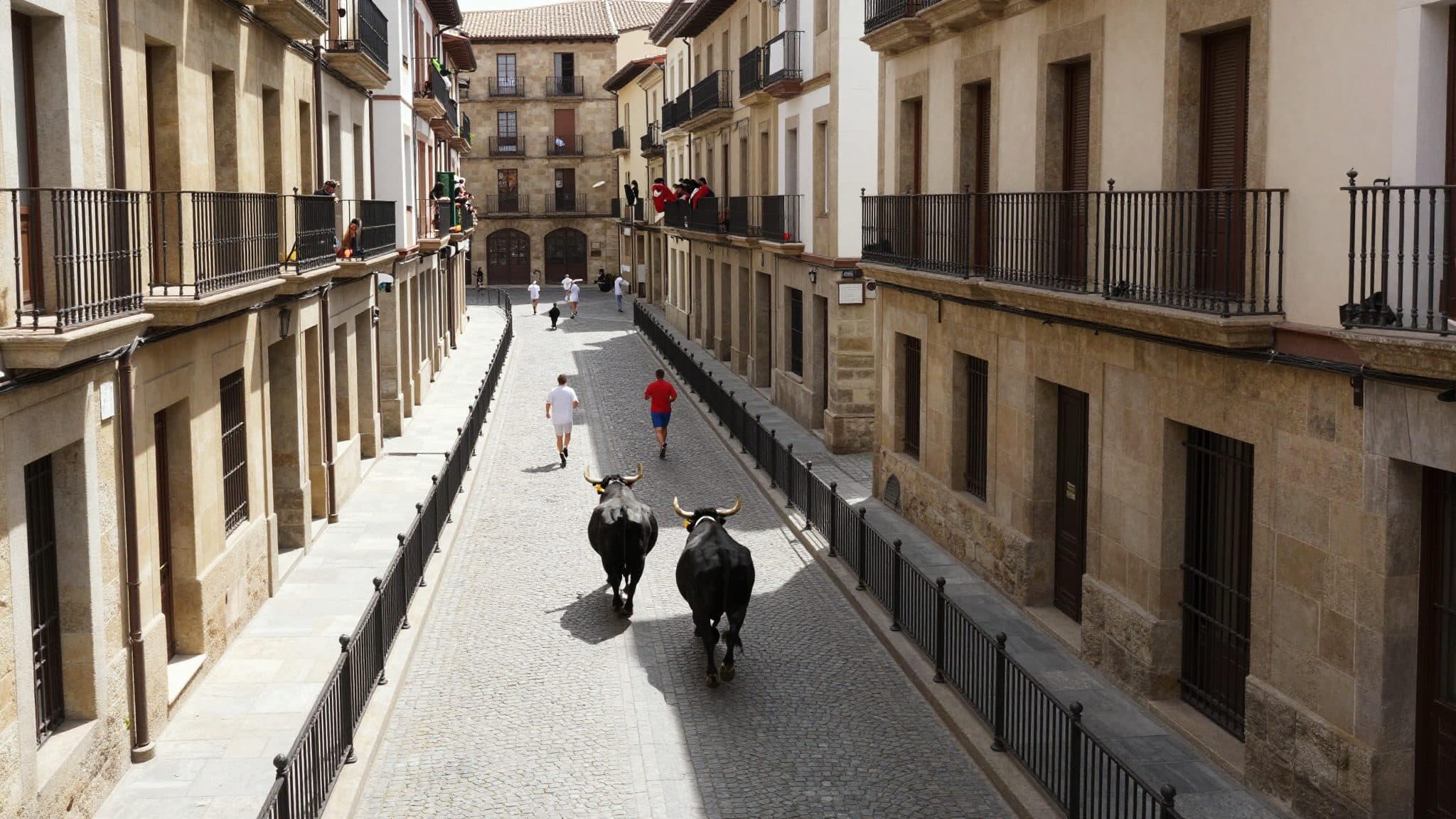 San Fermín a Pamplona inizia con un controverso debutto: corsa dei tori e critiche per il maltrattamento degli animali