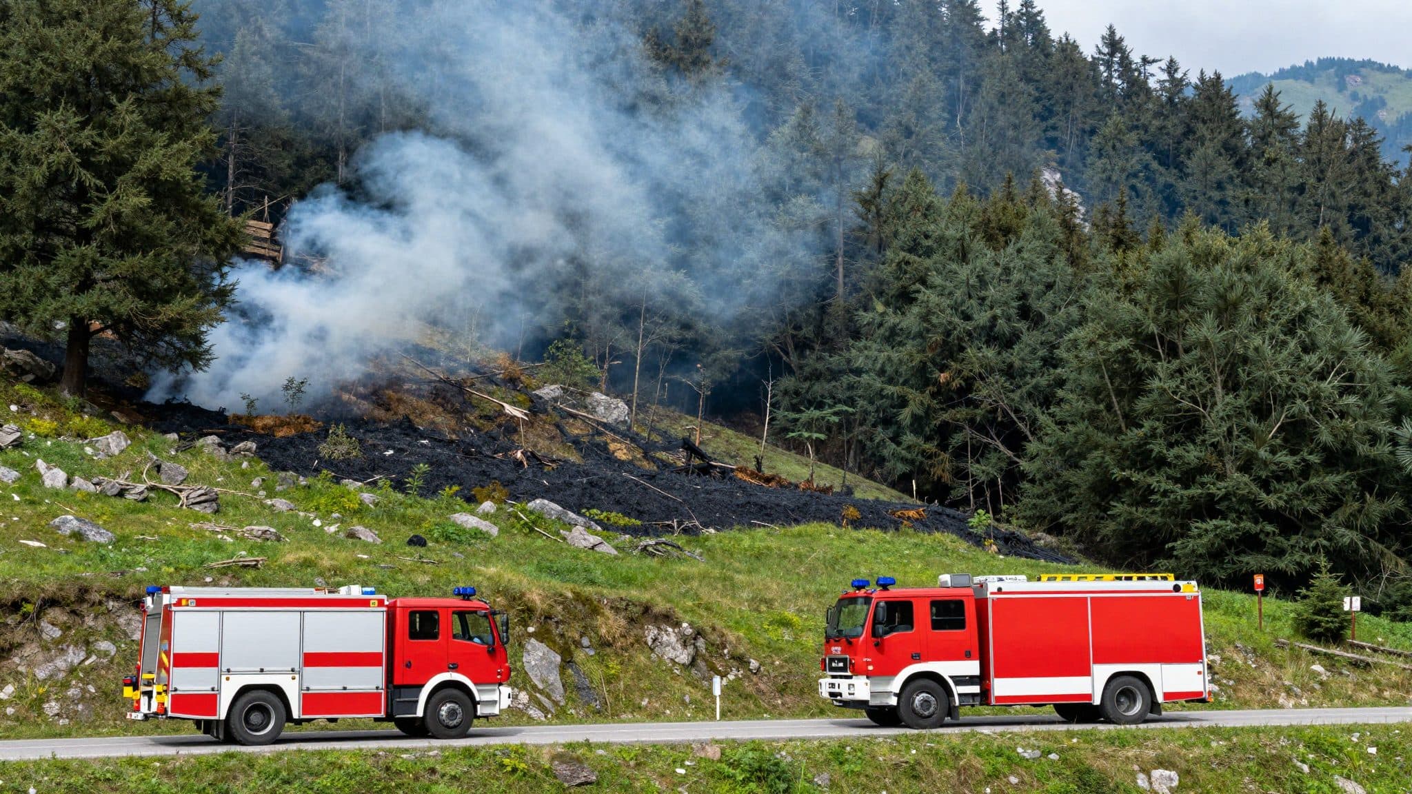 Incendio boschivo sull'Hochstein presso Lienz: i vigili del fuoco evitano danni maggiori