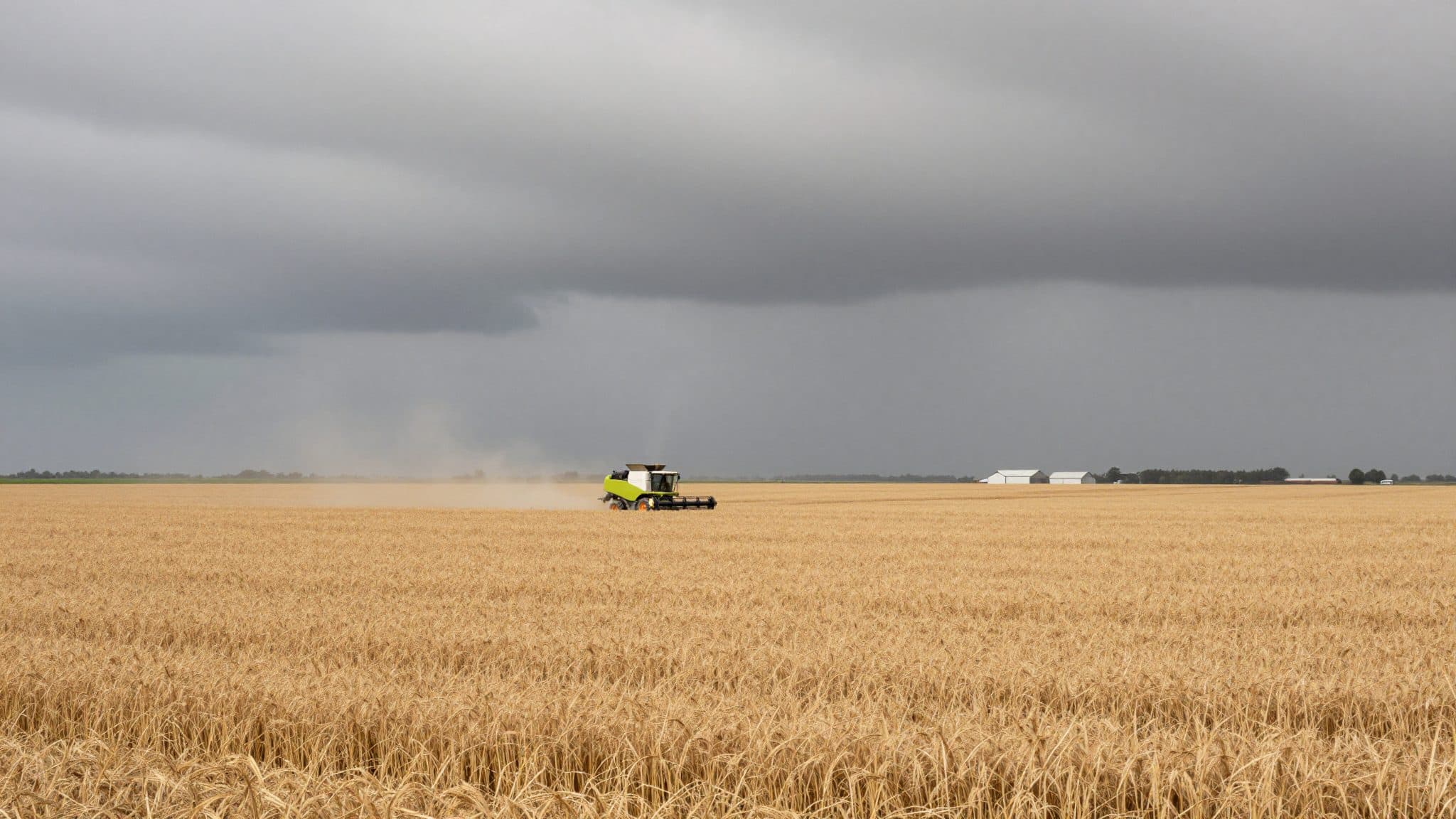 FAO e OECD prevedono entro il 2035 un netto aumento della produzione agricola – con emissioni in crescita