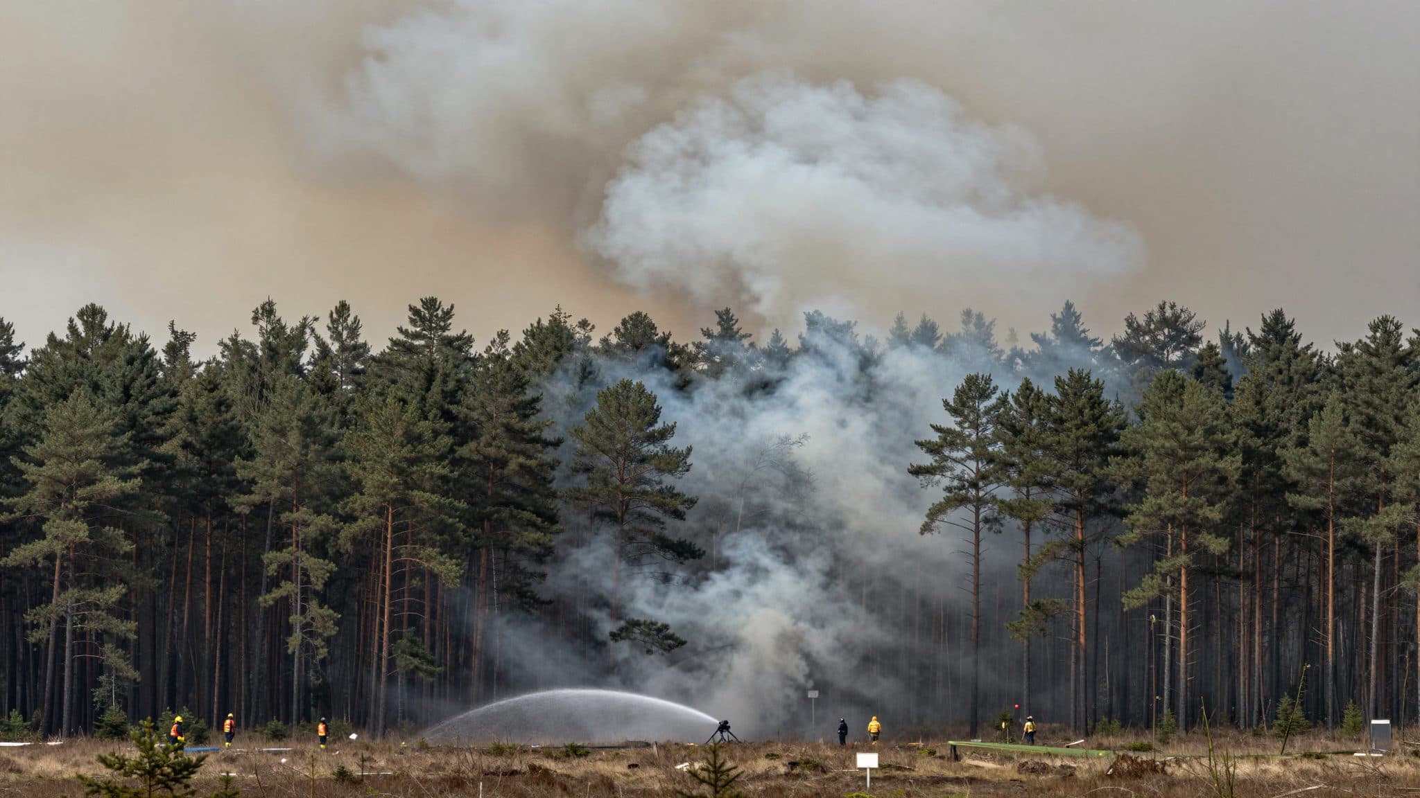 Incendio nel parco nazionale del Müritz: 318 ettari percorsi dal fuoco, nessuna revoca dell'allerta