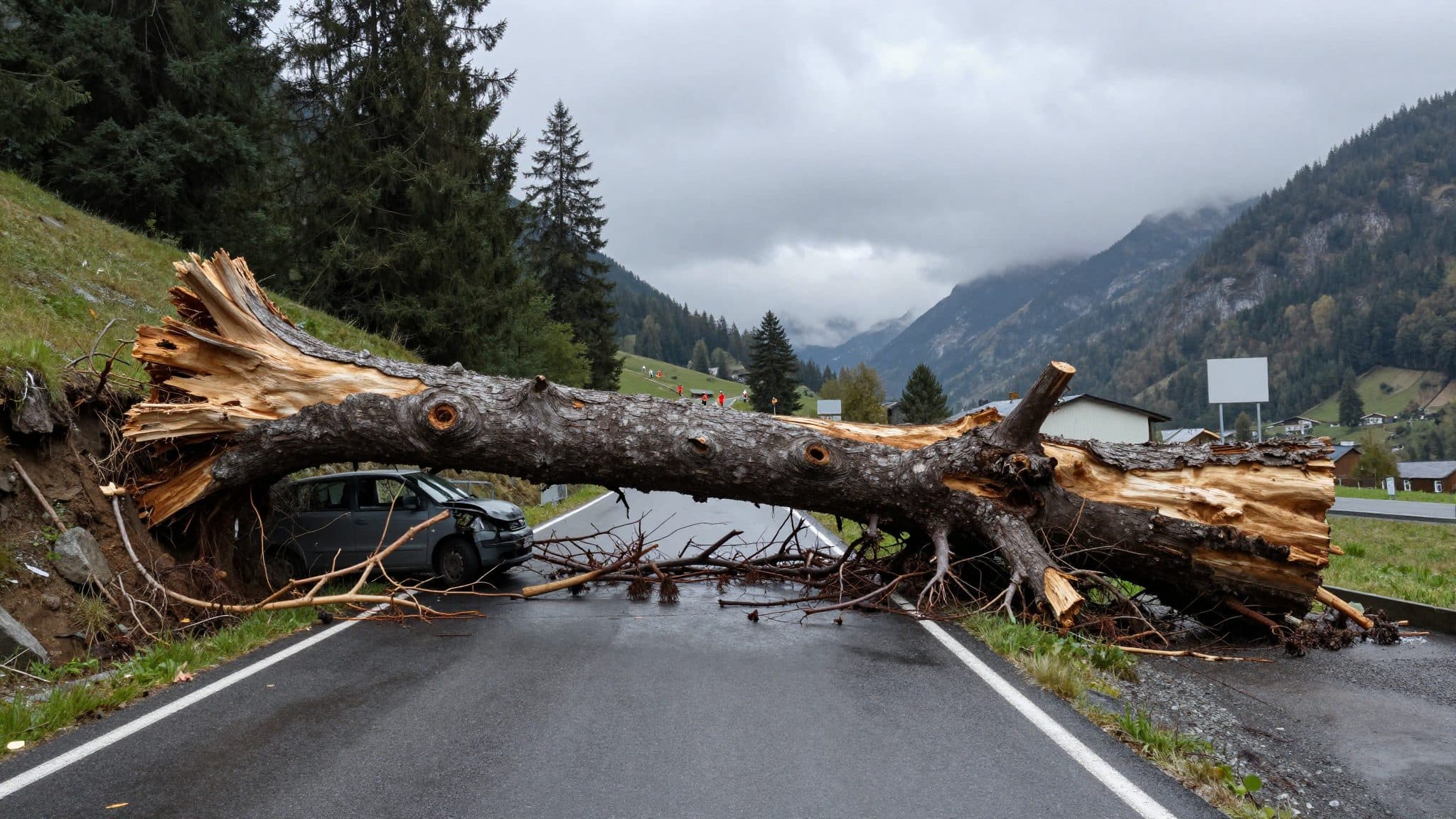 Albero cade su un'auto a Roppen durante un temporale: autista ferito lievemente, due bambini illesi