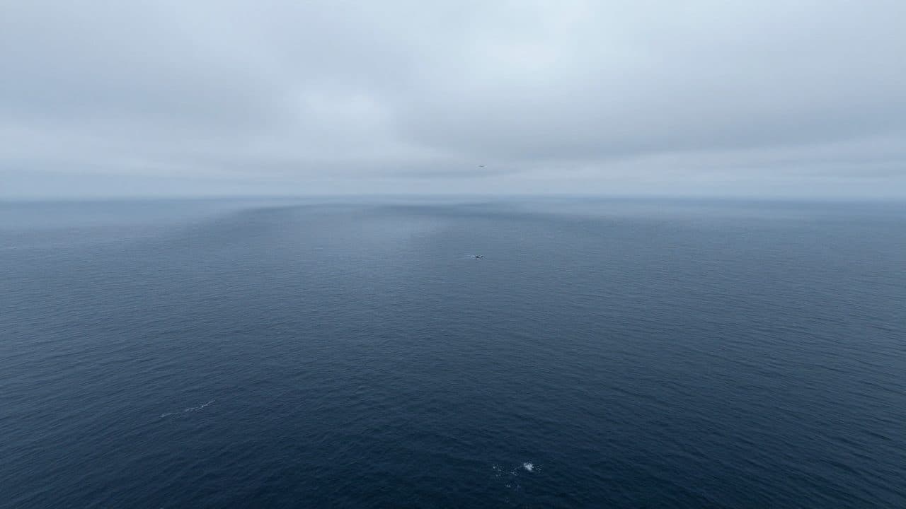 Guardia costiera Usa cerca un aereo scomparso con sei persone a bordo dopo il decollo dalle Bermuda